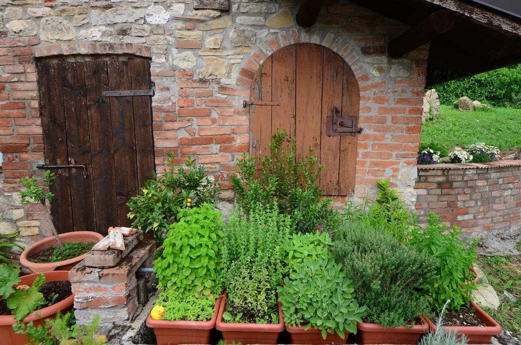 PiozzanoAgriturismo Agronauta别墅 外观 照片